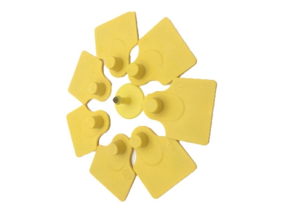 product 16
